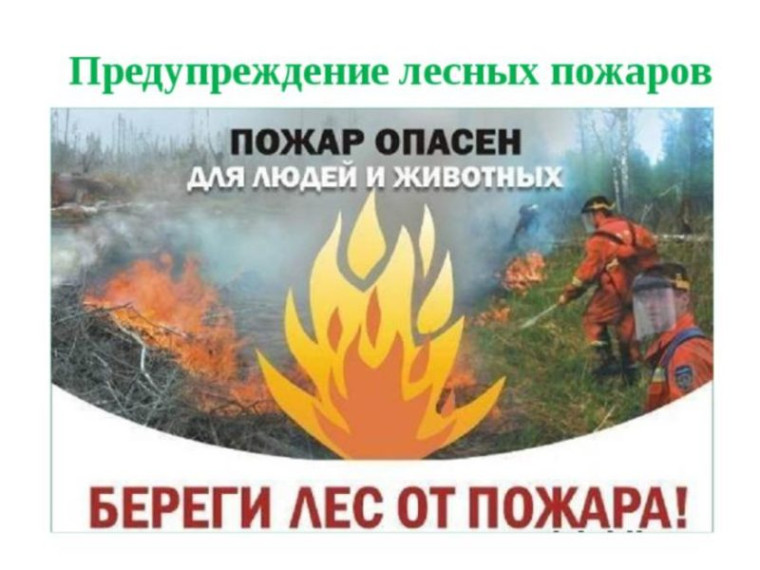Действия населения по предотвращению лесных и ландшафтных пожаров.